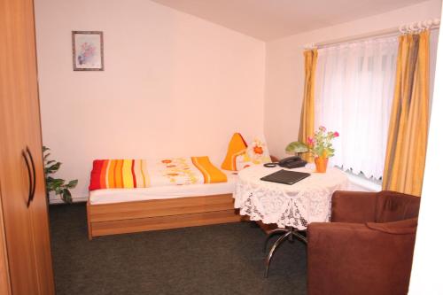 a bedroom with a bed and a table with a laptop at Pension Anni in Sanitz