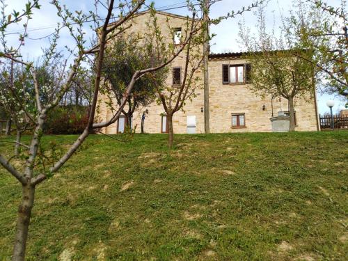 Φωτογραφία από το άλμπουμ του Agriturismo Il Vecchio Acero σε Montalto delle Marche