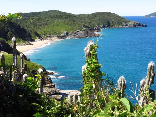 Una vista de una playa desde una colina con cactus. en Teixeira e Souza, en Cabo Frío