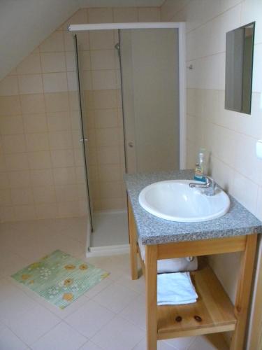 a bathroom with a sink and a shower at Ekofarma Rytířova Lhota in Rytířova Lhota