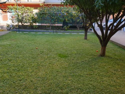 a grassy area with a tree and apples on the ground at B&B ALDA in Levanto