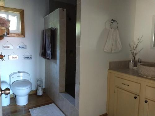 a bathroom with a toilet and a sink at Jonesville Point beach house in Roatán