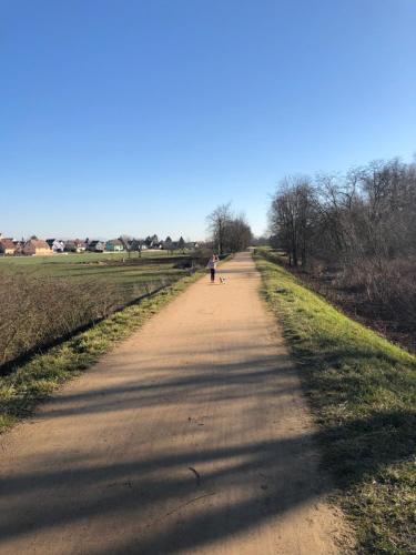 a person walking a dog down a dirt road at Gîte Wellness Le Six H in Andolsheim