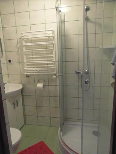 Un baño con ducha de cristal con inodoro. en Villa Banita, en Ustka