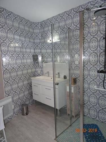 a bathroom with a shower and a sink at La ferme aux chats in Formigny