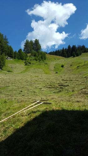 Un paisaje natural cerca del departamento