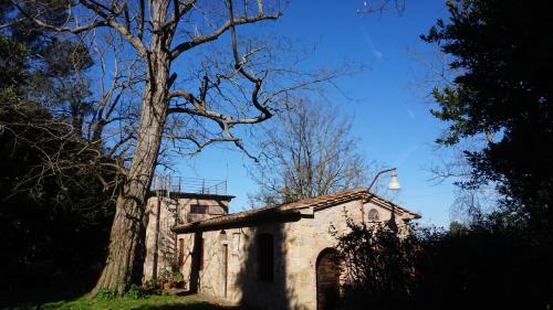 FaugliaにあるVilla Silvestriの木の横の古い石造り