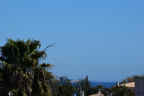 a palm tree and mountains in the distance at Family House in Lagos