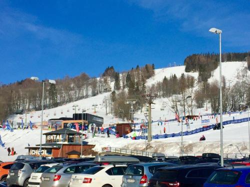 Apartmán "U nás doma" v chatě ALFA Černý Důl v zimě