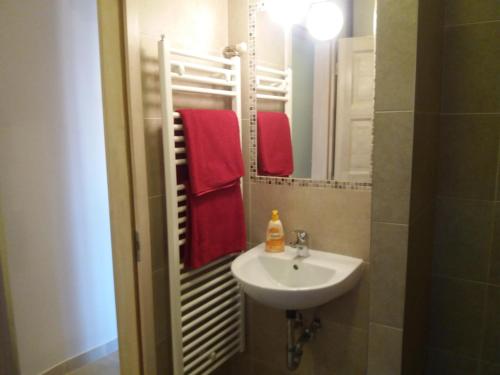 a bathroom with a sink and a mirror and red towels at Budanest Apartments in Budapest