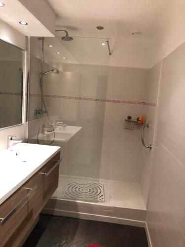 une salle de bain avec douche et lavabo dans l'établissement Vieux port de Cannes, à Cannes