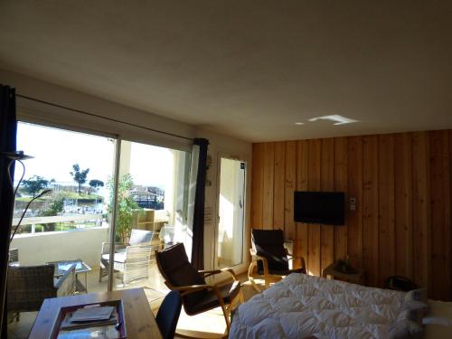 a living room with a couch and chairs and a television at Les Marinas de Cassy in Lanton