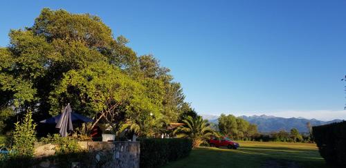 a garden with an umbrella and a car in a yard at Posada El Prado in Salta
