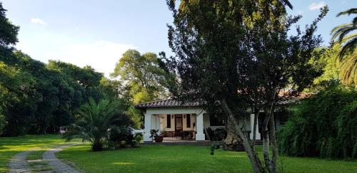 a white house with a palm tree in the yard at Posada El Prado in Salta