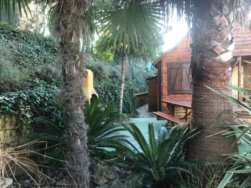 a view of a tree with a house in the background at Cabañas De Madera Y Bungalows - Gilmañas 3 in La Iruela
