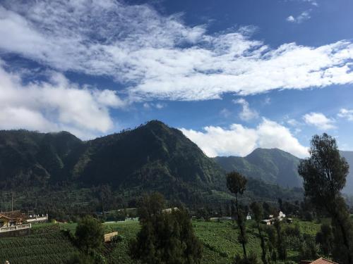a view of a valley with mountains in the background at Bromo Deddy Homestay in Bromo