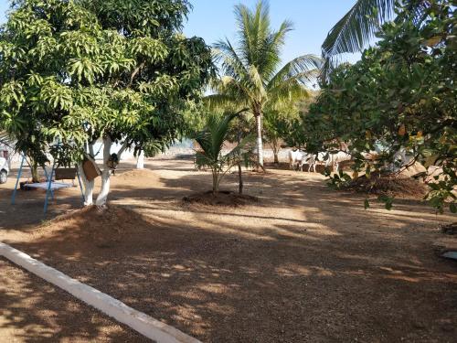 a group of trees and cows walking down a road at Shree Samarth Farmhouse in Murud