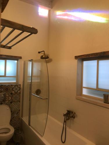 a bathroom with a shower and a toilet at Aleen Guest House in Nazareth