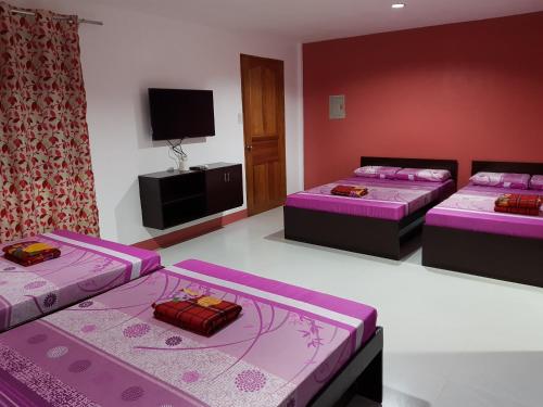 een kamer met 2 bedden en een flatscreen-tv bij SJ Pabua Travellers Inn in Mambajao