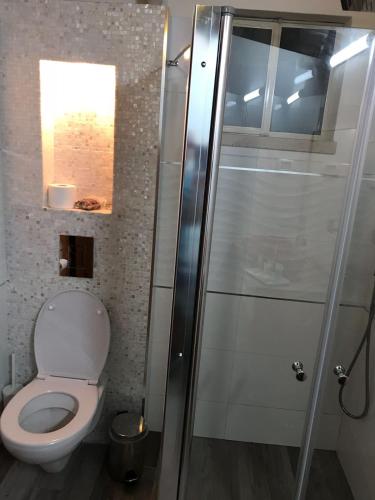 a bathroom with a toilet and a glass shower at Aleen Guest House in Nazareth
