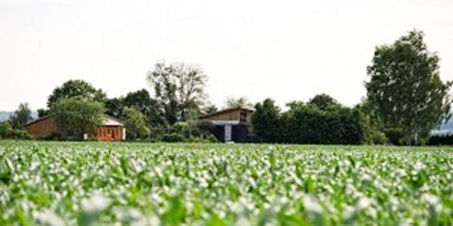 Zahrada ubytování Demeterhof Dünninger