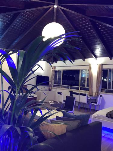 a living room with chairs and a potted plant at Aleen Guest House in Nazareth