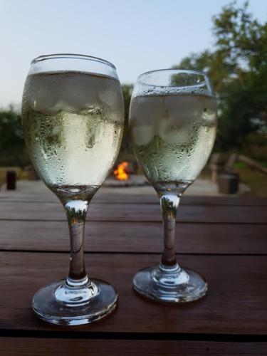 two glasses of wine sitting on a wooden table at Mananga Bush Villa in Skukuza