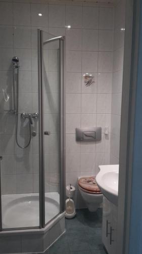 a bathroom with a shower and a toilet and a sink at Ferienwohnung "An der Würschnitz" in Chemnitz