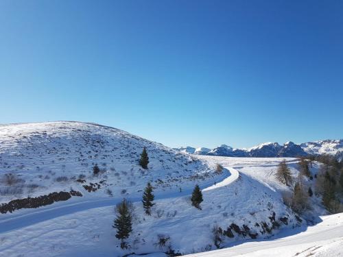 a snow covered hill with trees and a road at casa del cirillo in Ornica