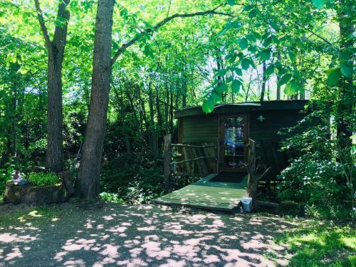 a small cabin in the woods with trees at Round house in Sigulda