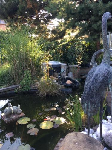 two birds standing in a pond with lilies at Apartment Apart Waldershof in Waldershof