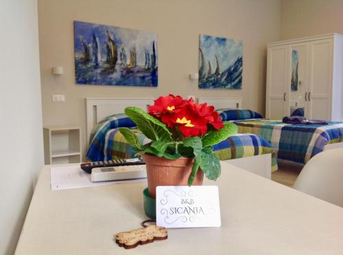 a red flower in a pot on a table with a sign at Sicania in Patti