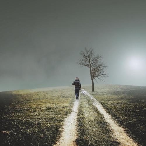 a man walking down a road in a field with a tree at Nengshof Ferienwohnung Wildrose in Wißmannsdorf