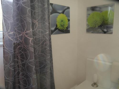 a bathroom with a shower curtain and two pictures at Apartment FALVIG inkl. Küche in Bad Schonborn