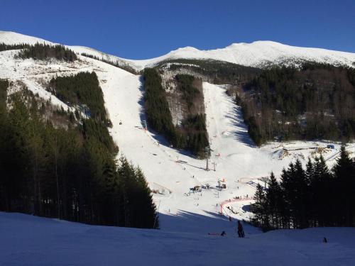 a group of people skiing down a snow covered mountain at Apartmán Ježko in Tale