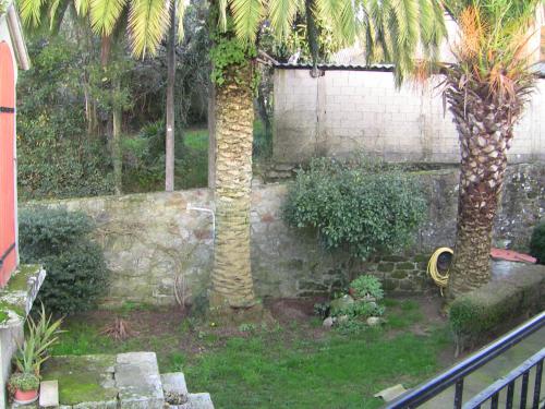 a garden with two palm trees and a stone wall at Casa Xan da Pena in Villarmayor