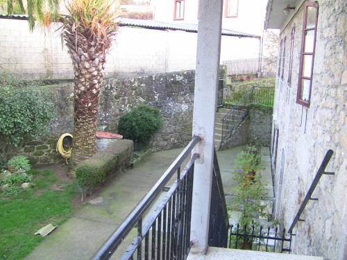 a palm tree in a courtyard next to a building at Casa Xan da Pena in Villarmayor