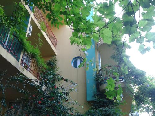 a building with a blue door and some plants at The Colourful Mansion Hotel in Ahtopol