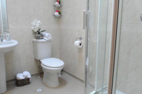 a bathroom with a toilet and a glass shower at Arbor Holiday Cottages in Southam