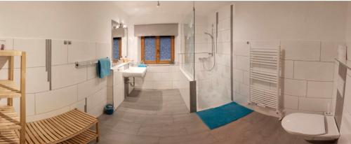 a bathroom with a shower and a sink and a toilet at Kalser Eck in Kals am Großglockner