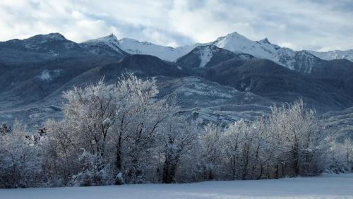 a group of trees with mountains in the background at La Casa Dei Nonni in Bussoleno