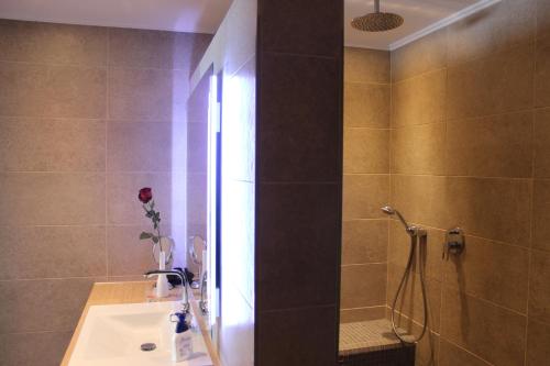 a bathroom with a shower with a sink and a shower at Eifelgold in Habscheid