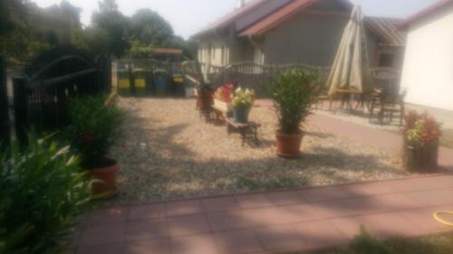 Taman di luar Boszkowianka