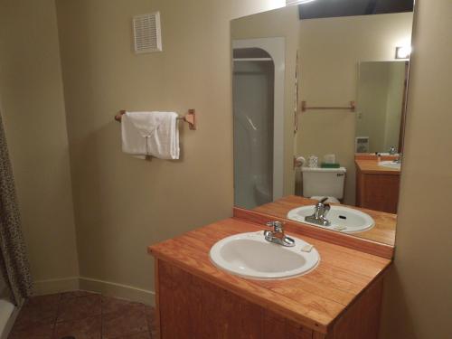 a bathroom with a sink and a mirror at Wildwood Inn in Florence