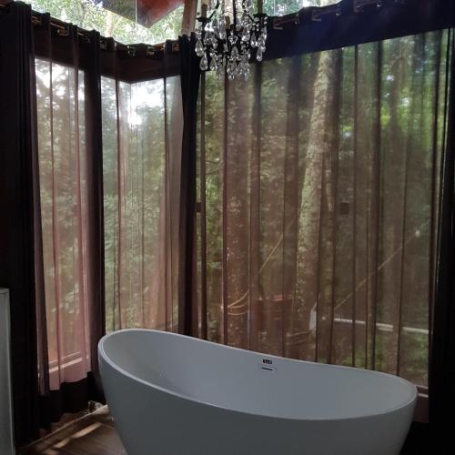 a bath tub in front of a window with trees at Bosque São Francisco in Chapada dos Guimarães