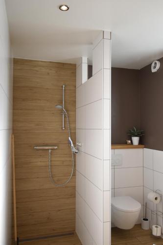 a bathroom with a shower and a toilet at Hof Kricheleberg in Bocholtz