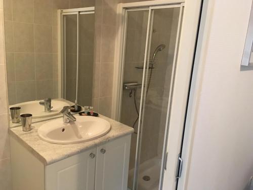 a bathroom with a sink and a shower at Chambre du verger in Francheville