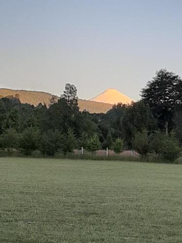 a field with trees and a mountain in the background at Paraíso Liumalla Lodge in Villarrica