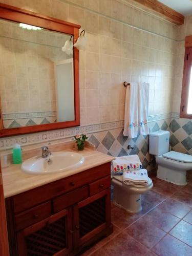 a bathroom with a sink and a toilet and a mirror at Las Casonas de Chavida in Chavida