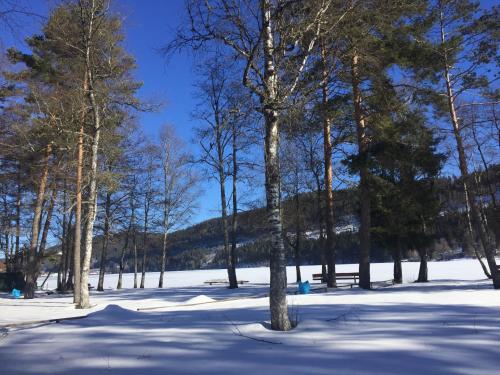 Το Titisee Haus Vogelnest τον χειμώνα